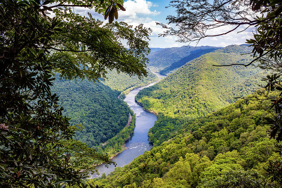 New River Gorge, Through The Trees Photograph