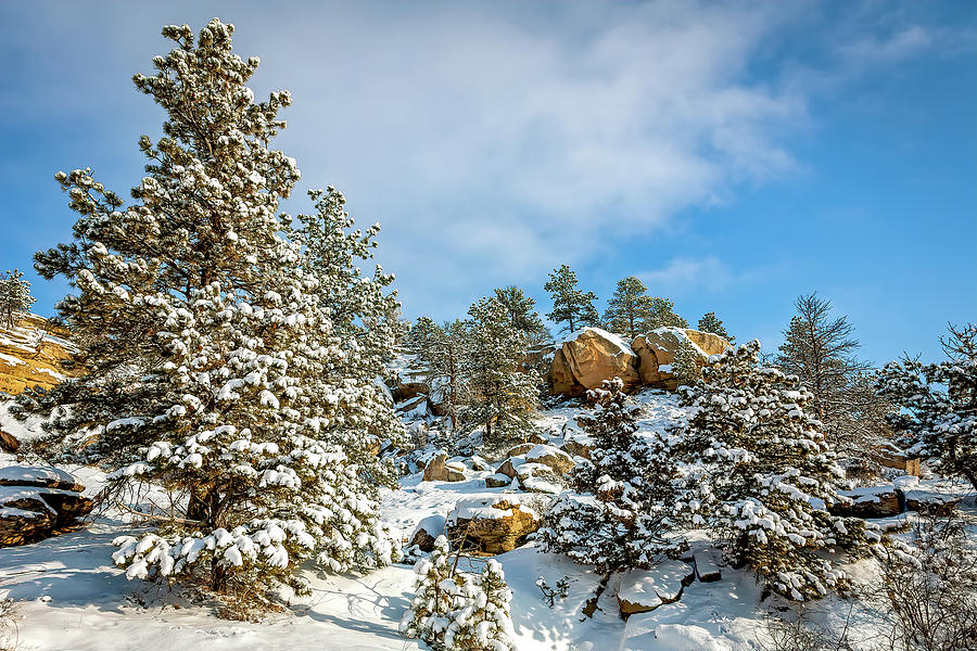 New Snow on the Rimrocks 3 Photograph by Jack Bell