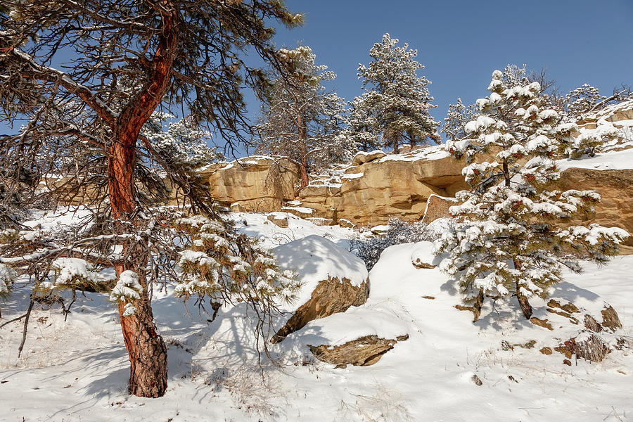 New Snow on the Rimrocks Photograph by Jack Bell