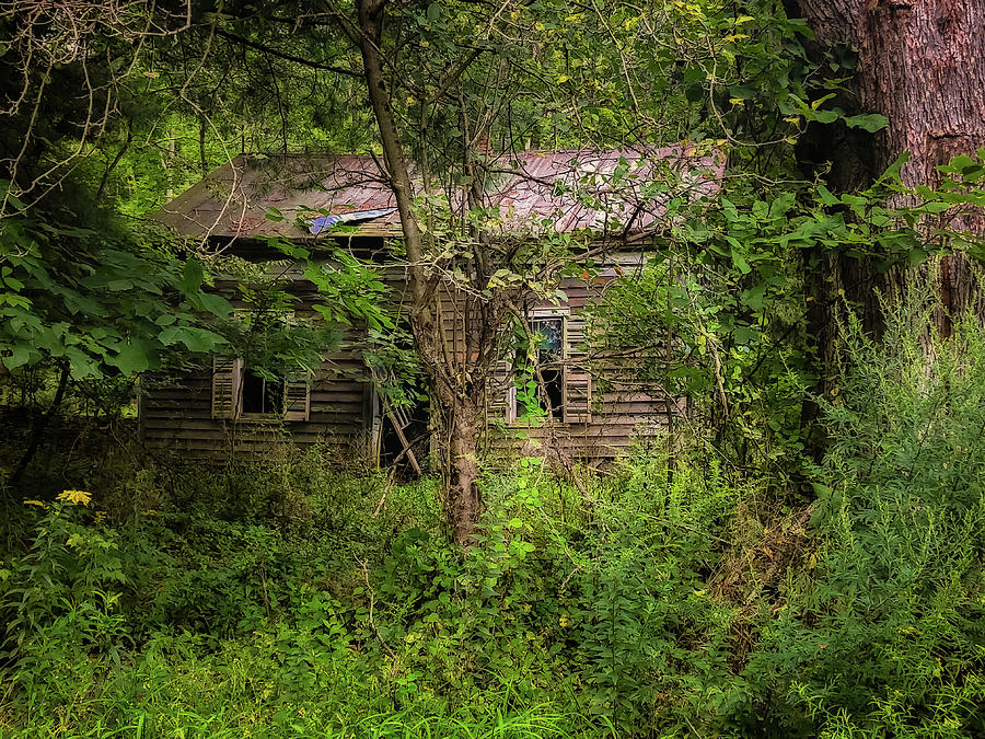 Old Squatter's Cottage - abandonedshack081722 Photograph by Judy Duncan ...