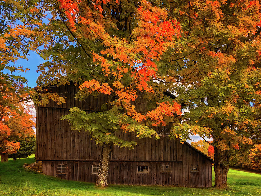 Fall in the Country - beautifulfallcountryday10082020 Photograph by ...