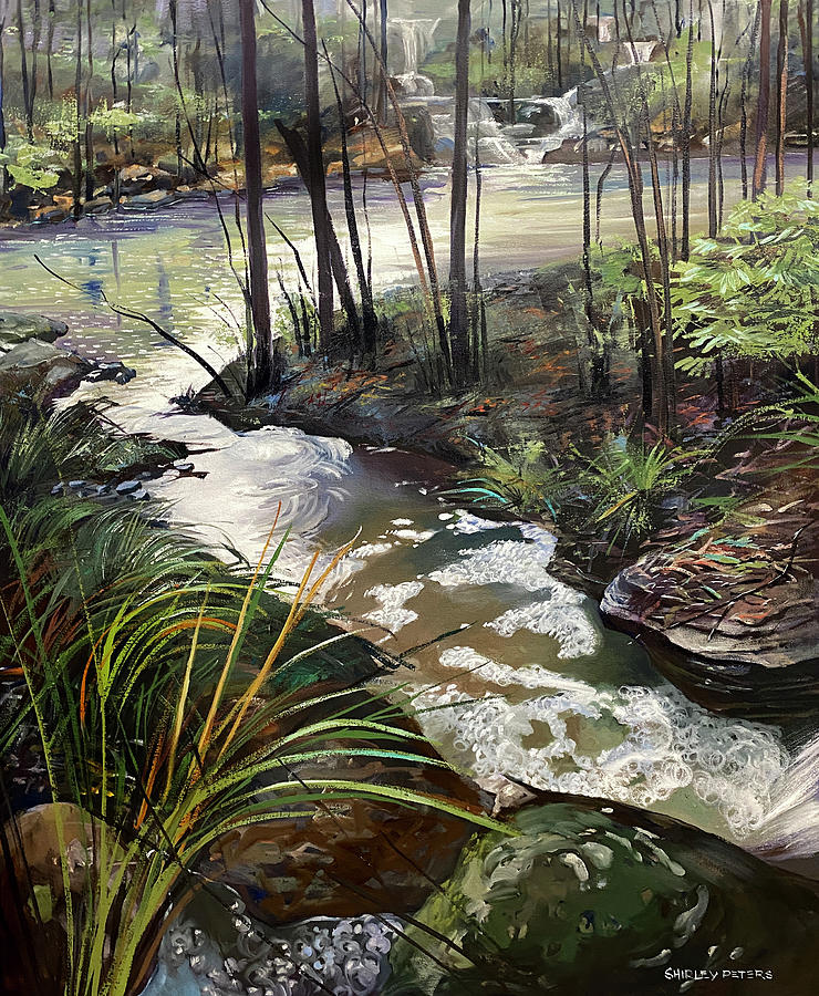 New Waterways at Mulgoa Painting by Shirley Peters