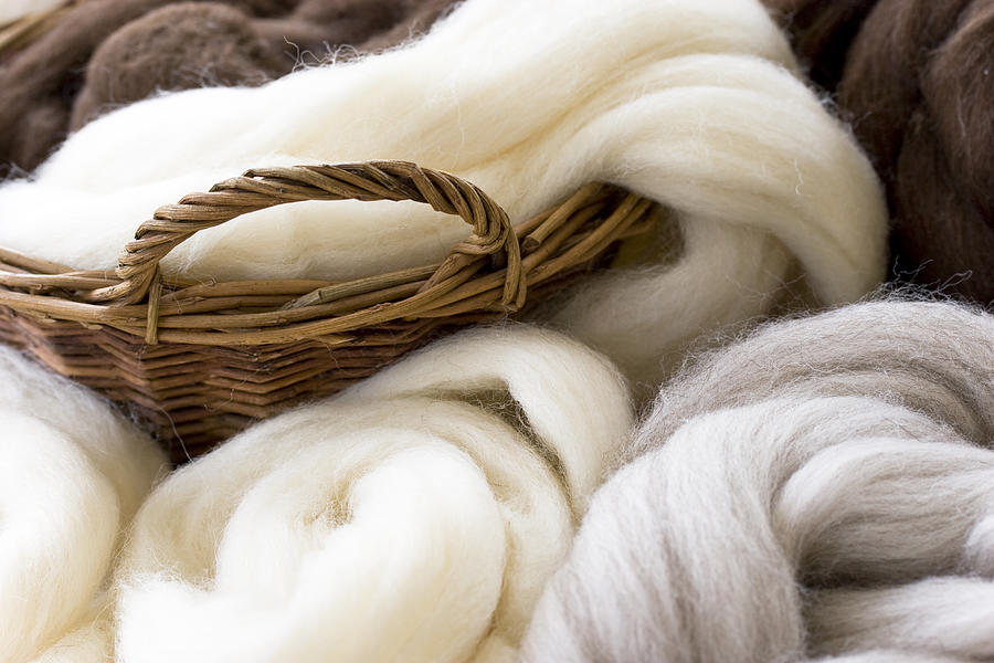New  wool in natural colors Photograph by HeikeKampe
