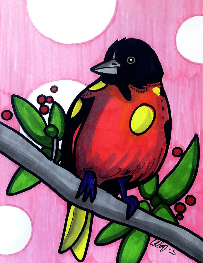 New World Oriole Drawing by Creative Spirit