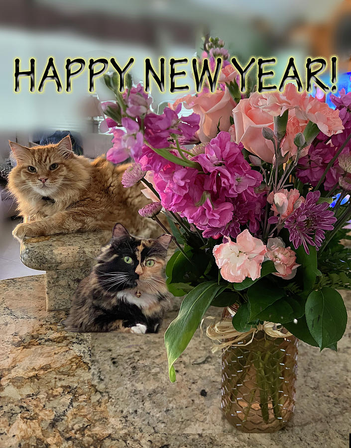 New Year Cats and Flowers Photograph by Karen Zuk Rosenblatt