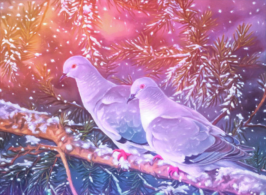 New Year Doves Photograph by Pamela Cooper