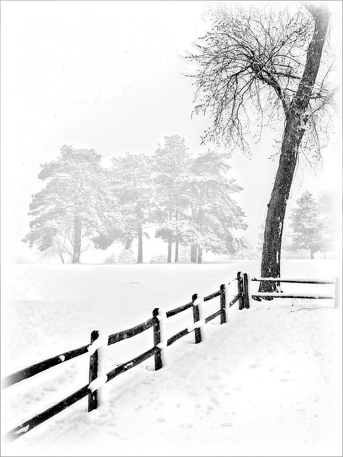 Winter Photograph - New Year Snow by John Anderson