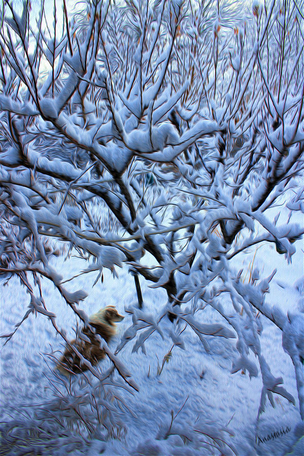 New Years Snow on Apricot Tree with Shepherd Dog Mixed Media by Anastasia Savage Ealy