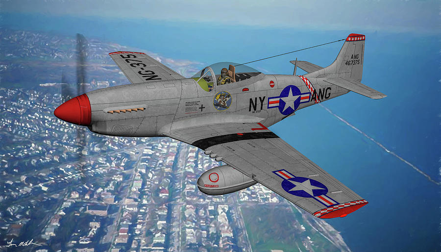 New York Air Guard Pony - Art Digital Art by Tommy Anderson