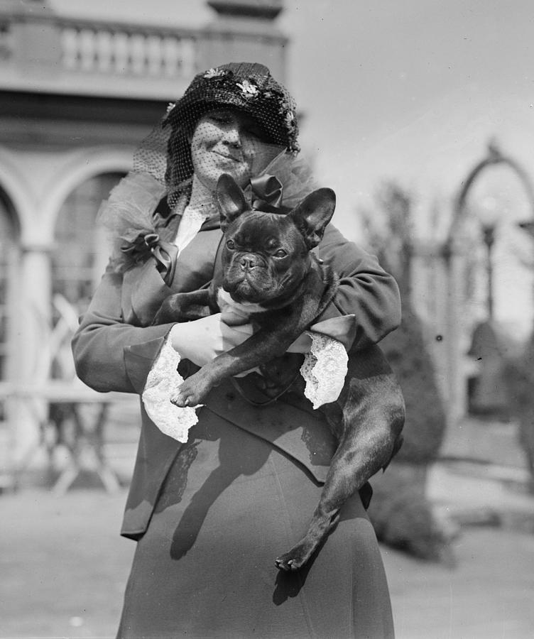 New York City, 1914, Martha Haslam and her French Bulldog, Photo, Black ...