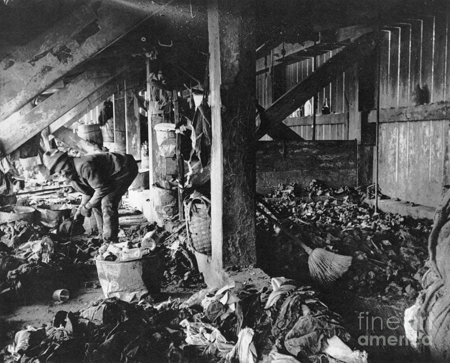 New York City Dump, 1891 Photograph by Jacob Riis