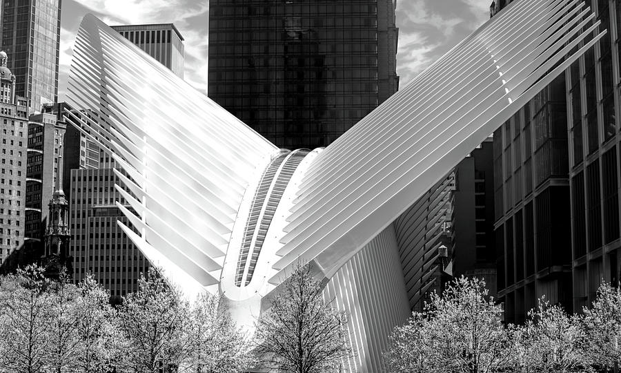 New York City Oculus Terminal Black and White Photograph by Christopher Arndt
