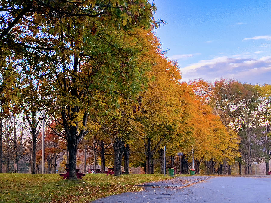 New York Rest Area I-88 Falls Photograph by Patricia Betts - Fine Art ...