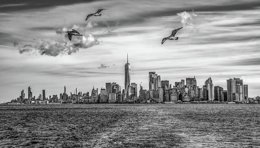 New York Skyline, Black and White Version Photograph by Marcy Wielfaert