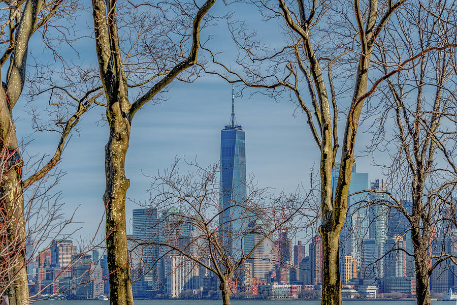 New York Skyline Naturally Framed Photograph by Marcy Wielfaert