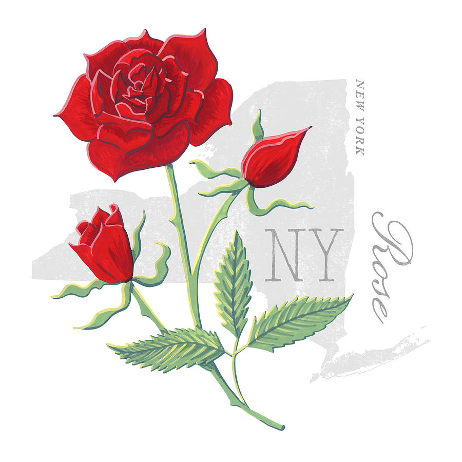 New York State Flower Rose Art by Jen Montgomery Painting by Jen Montgomery