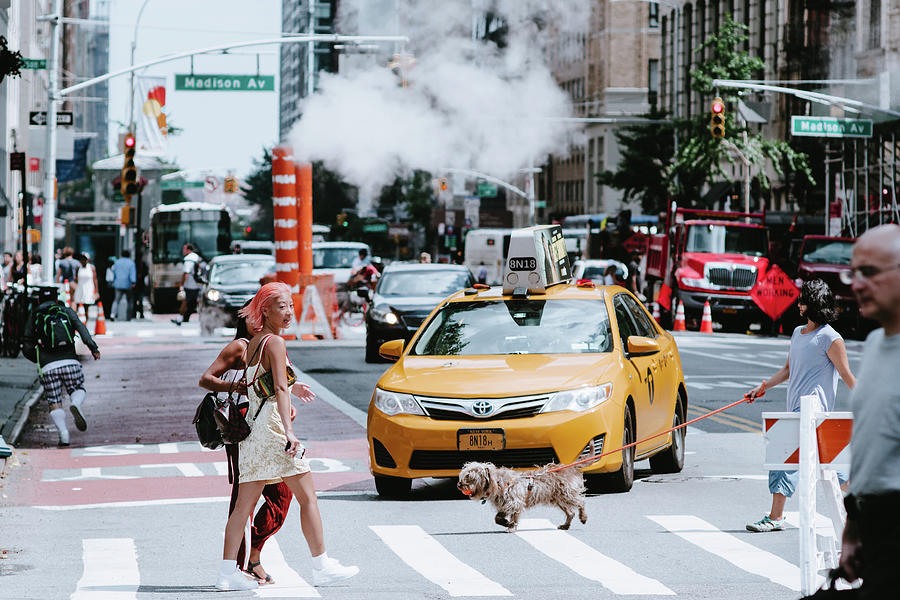 New York Summer Photograph by Eugene Nikiforov