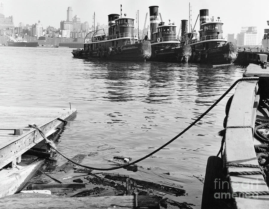 NEW YORK TUGBOATS, c1960 Photograph by Angelo Rizzuto