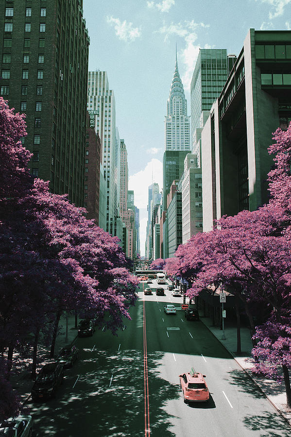 New York, United States - Surreal Art By Ahmet Asar Digital Art
