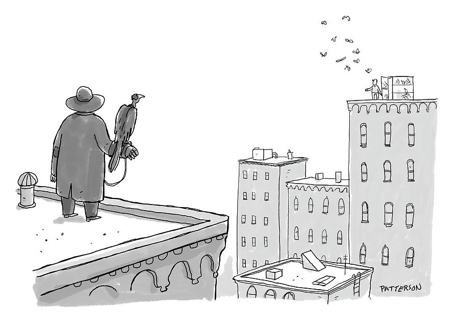 Falcon Drawing - New Yorker November 22, 2021 by Jason Patterson