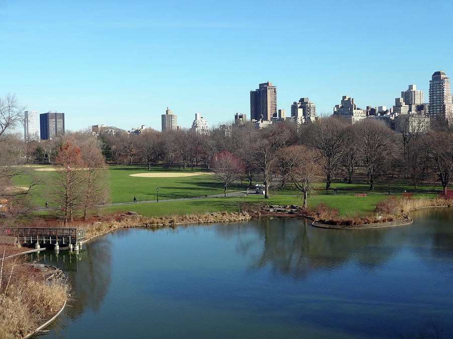 New York's Central Park Photograph by Kelley Albert - Fine Art America