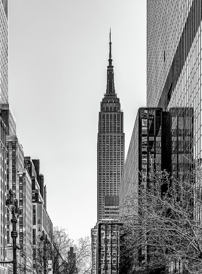 New Yorks Iconic Empire State Building, Black and White Photograph by Marcy Wielfaert