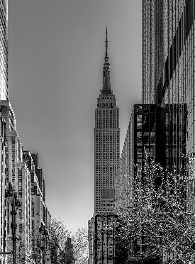 New Yorks Iconic Empire State Building, Infrared Photograph by Marcy Wielfaert