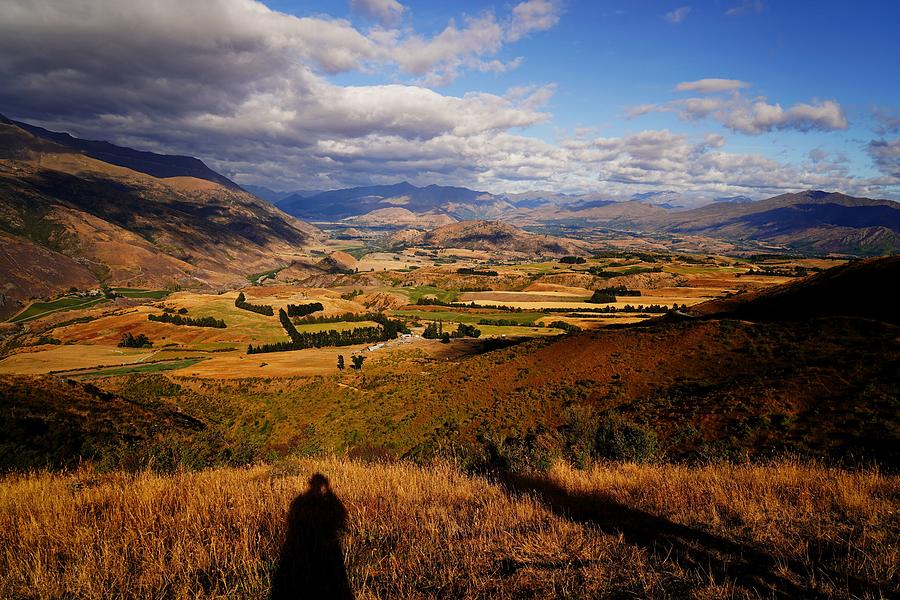 New Zealand Countryside Photograph by Rob Johnston