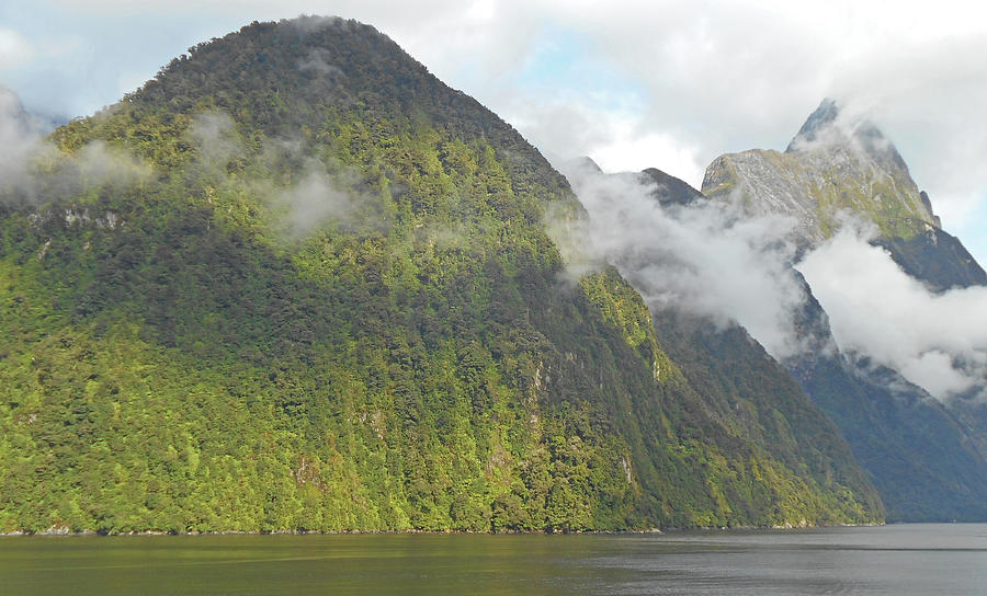 New Zealand Fjords 5 Photograph by Ron Kandt