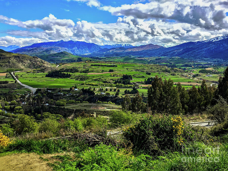 new zealand countryside pictures