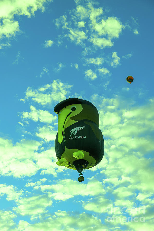 New Zealand hot air balloon Photograph by Jeff Swan
