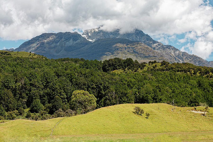 New Zealand Landscape Photograph by Sally Weigand