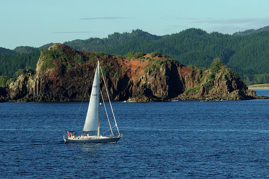 Sailing in New Zealand - Fine Art Print Photograph by Kenneth Lane Smith