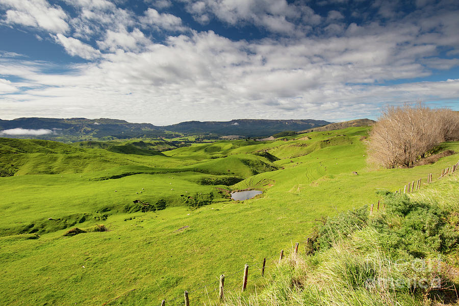 New Zealand Scenery Photograph by Chris Putnam - Pixels