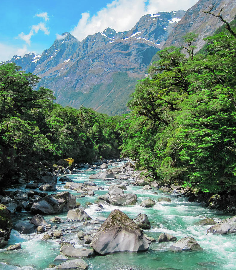 New Zealand valley river Photograph by John Marr