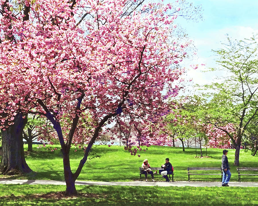 Newark NJ - Lunch and Cherry Blossoms Photograph by Susan Savad
