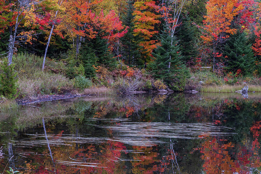 Newark Pond, Vermont Photograph by John Rowe