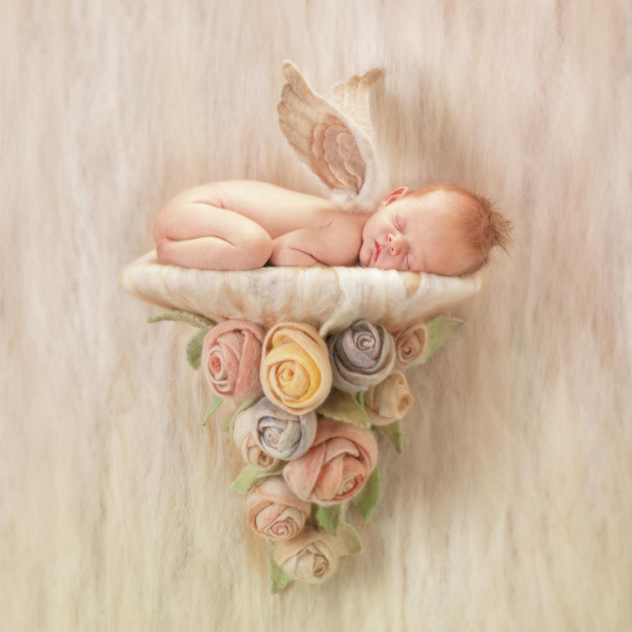 Angel Photograph - Newborn Angel with Roses by Anne Geddes