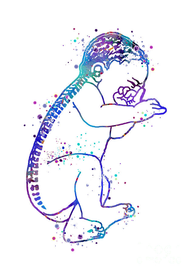Newborn Baby Colorful Blue Purple Watercolor Pregnancy Gift Digital Art by White Lotus