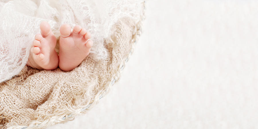 Newborn baby feet on knitted plaid. Closeup picture. Copyspace Photograph by Liudmila_Fadzeyeva