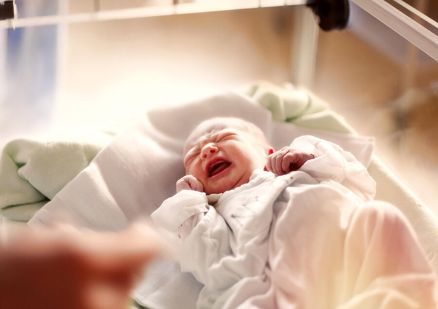Newborn baby girl Photograph by Narvikk
