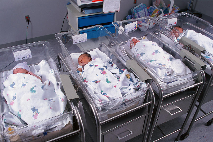 Newborns in hospital nursery Photograph by Diane Macdonald