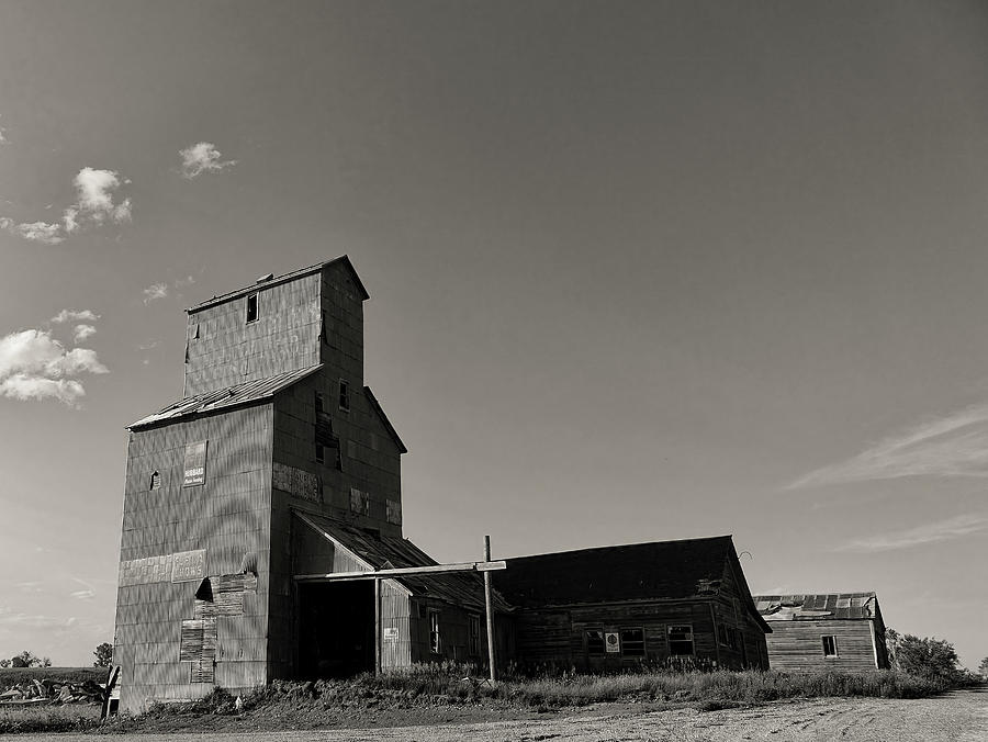 Newell Grain Elevator II Photograph by Cathy Anderson