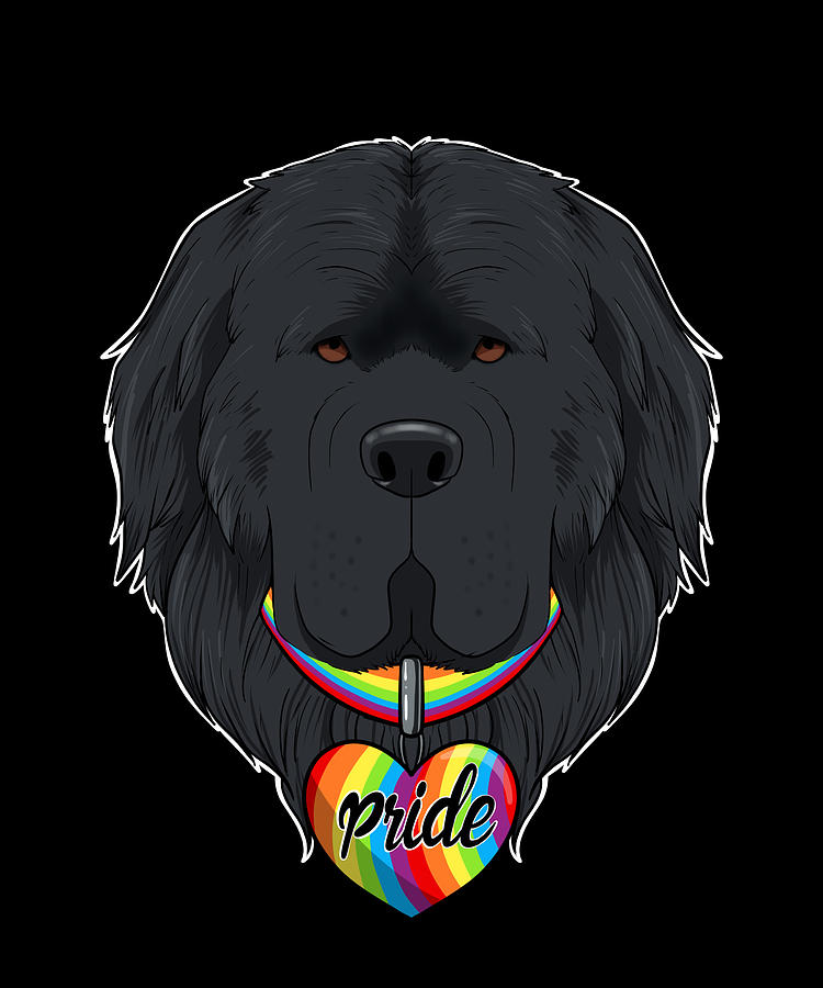 Newfoundland LGBTQ Flag I Gay Pride Flag Digital Art by Maximus Designs ...