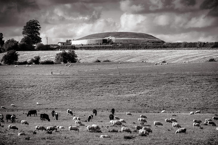 Newgrange Pastoral Photograph by Sublime Ireland