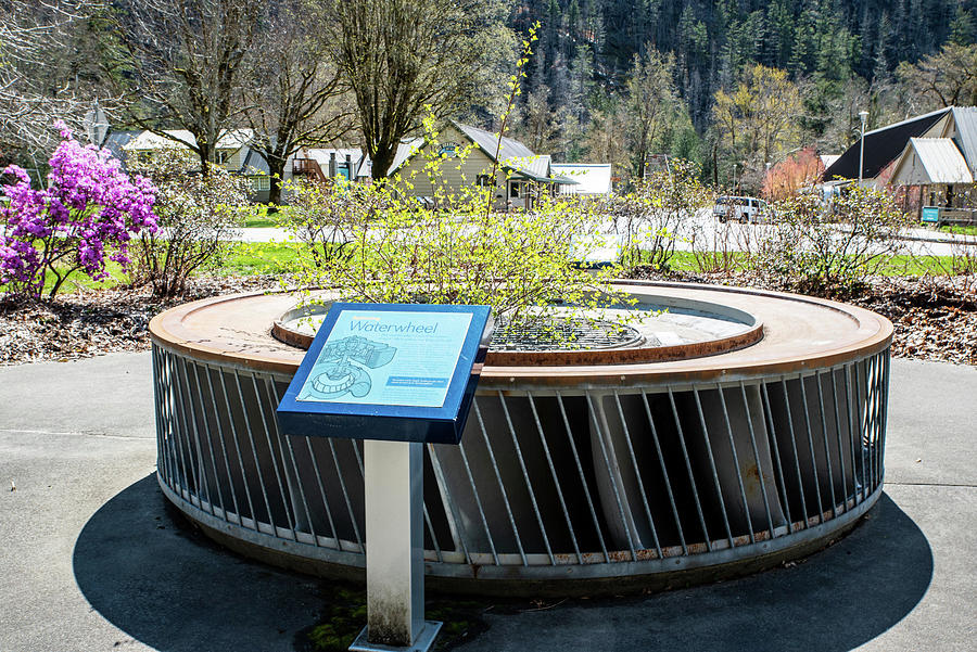 Newhalem Turbine Runner and Planter Photograph by Tom Cochran