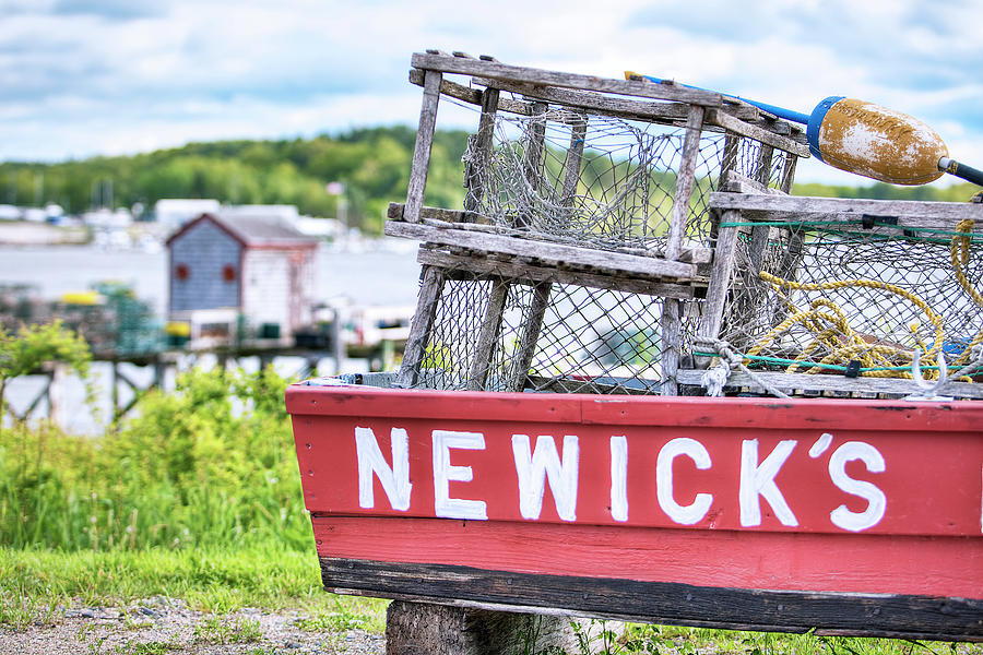 Fish Photograph - Newicks Seafood by Eric Gendron