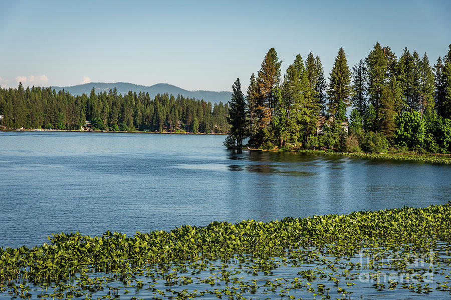 Newman Lake Photograph By Sam Judy