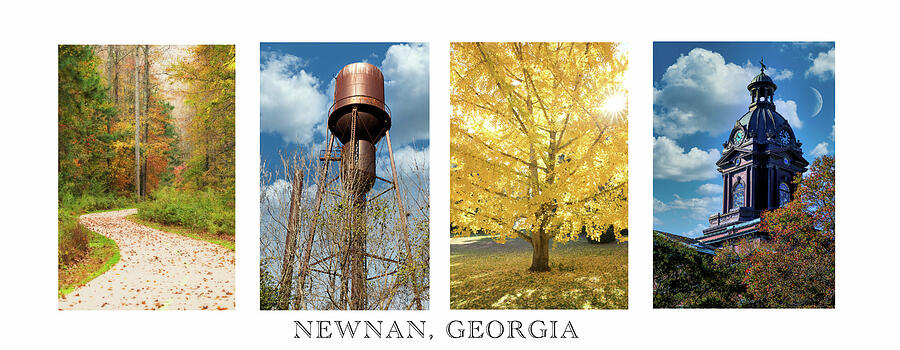 Newnan, Georgia Photograph by Karen Cox