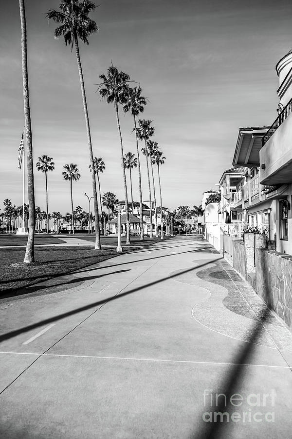 Newport Balboa Bike Trail Boardwalk Black and White Photo Photograph by Paul Velgos